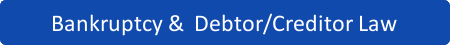 Bankruptcy & Debtor/Creditor
